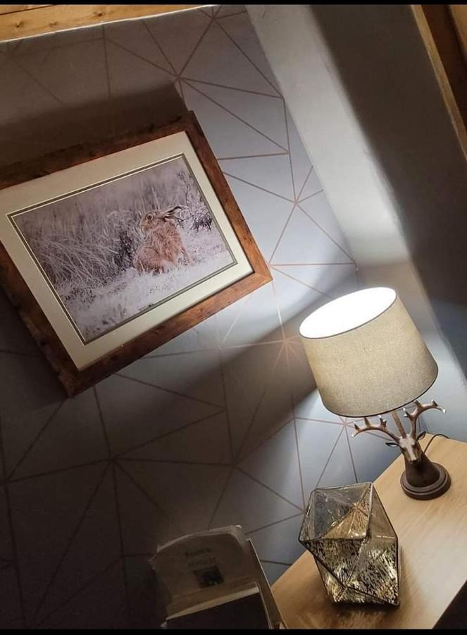 Cosy Minffordd Let - Llanuwchllyn Near, Ll23 Holiday home