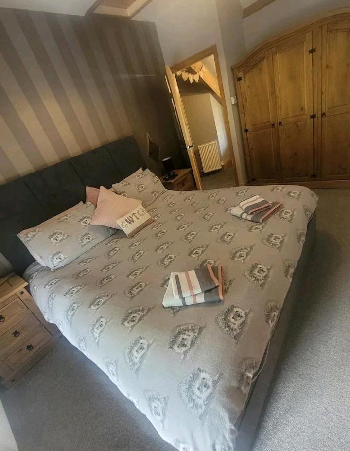 Holiday home Cosy Minffordd Let - Llanuwchllyn Near, Ll23 *
